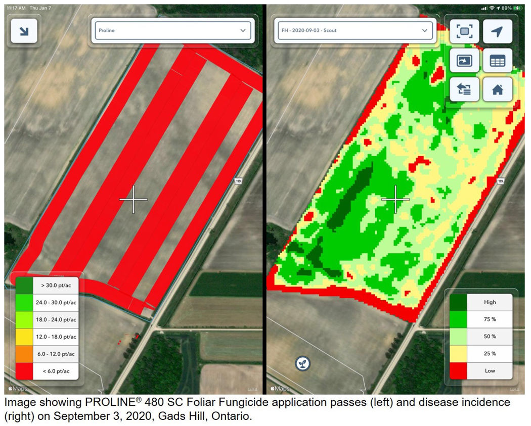 Climate FieldView™ Platform image of PROLINE® 480 SC Foliar Fungicide application passes and disease incidence on September 3, 2020 at Gads Hill, Ontario